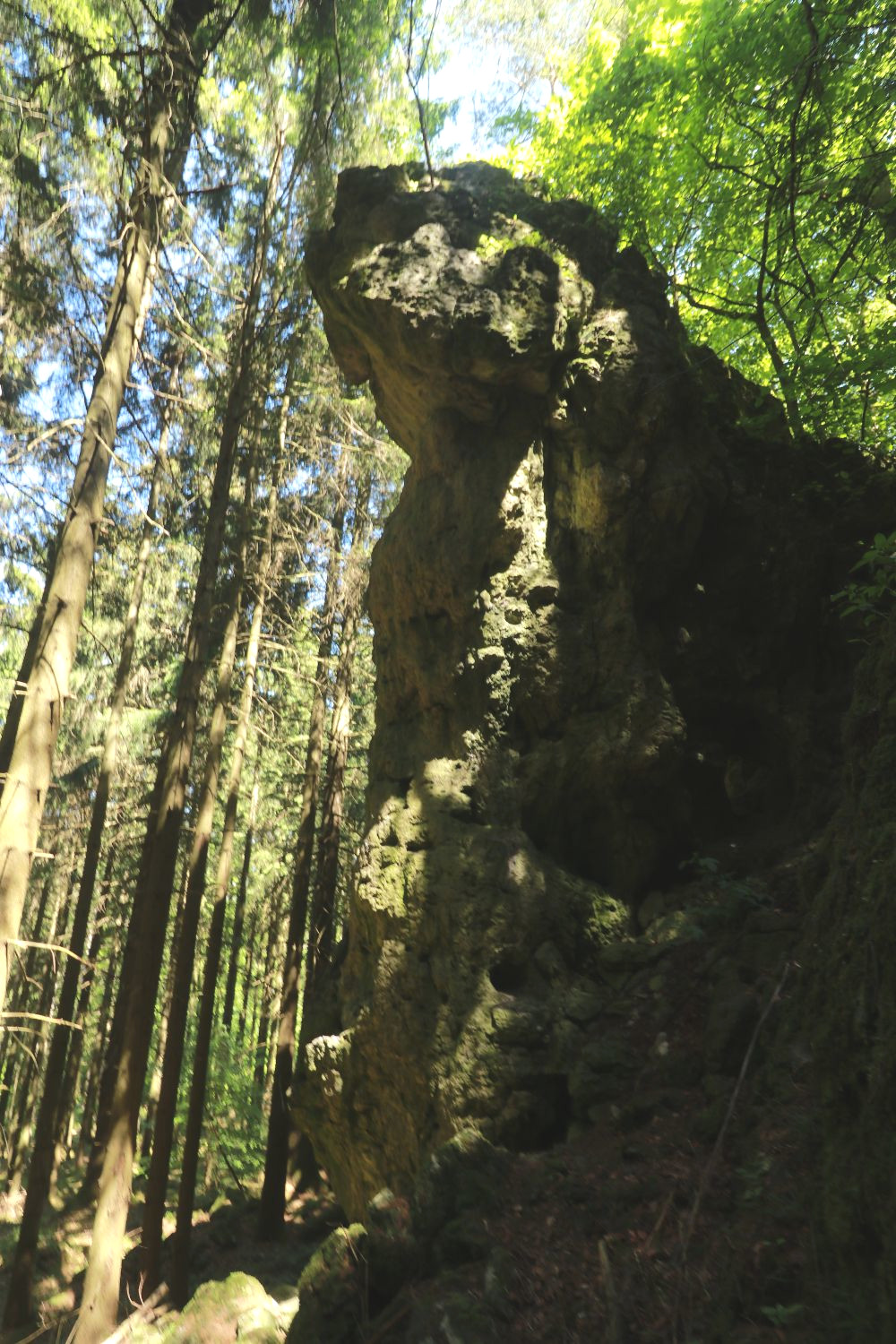Bild des Felsens