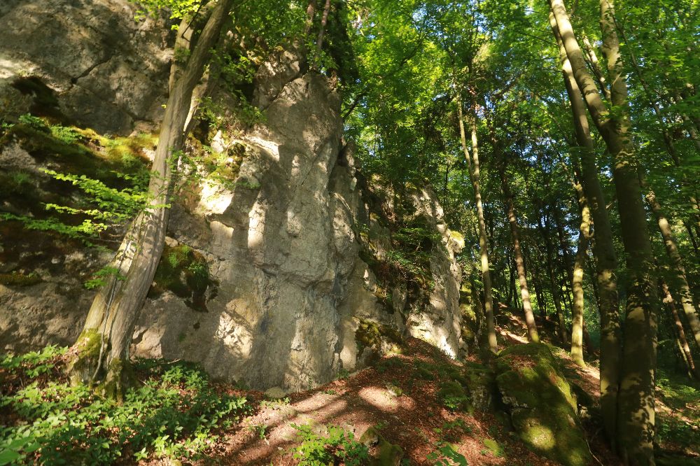 Bild des Felsens