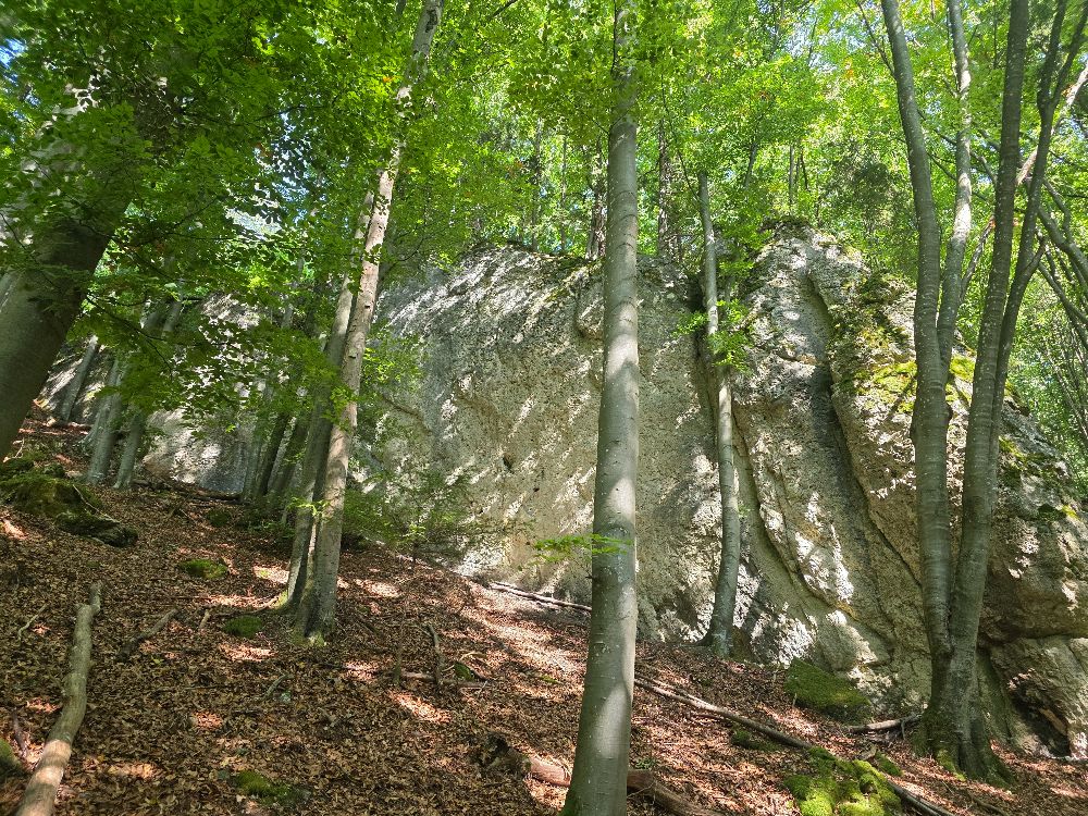 Bild Johnny-Cash-Wand