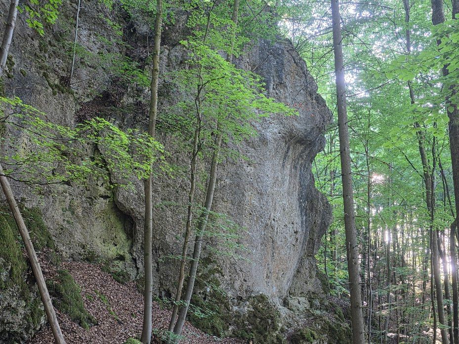 Bild des Felsens