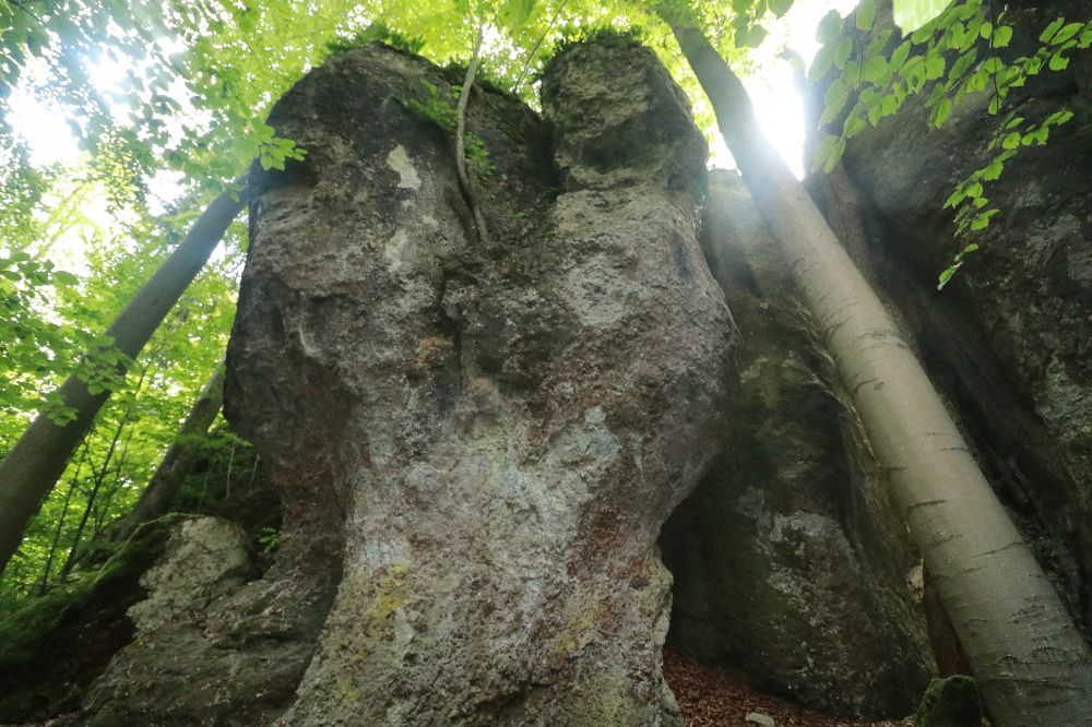 Bild Felsbilder aus dem nördlichen Frankenjura