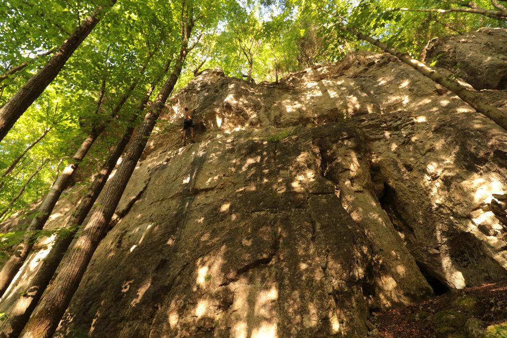 Bild des Felsens