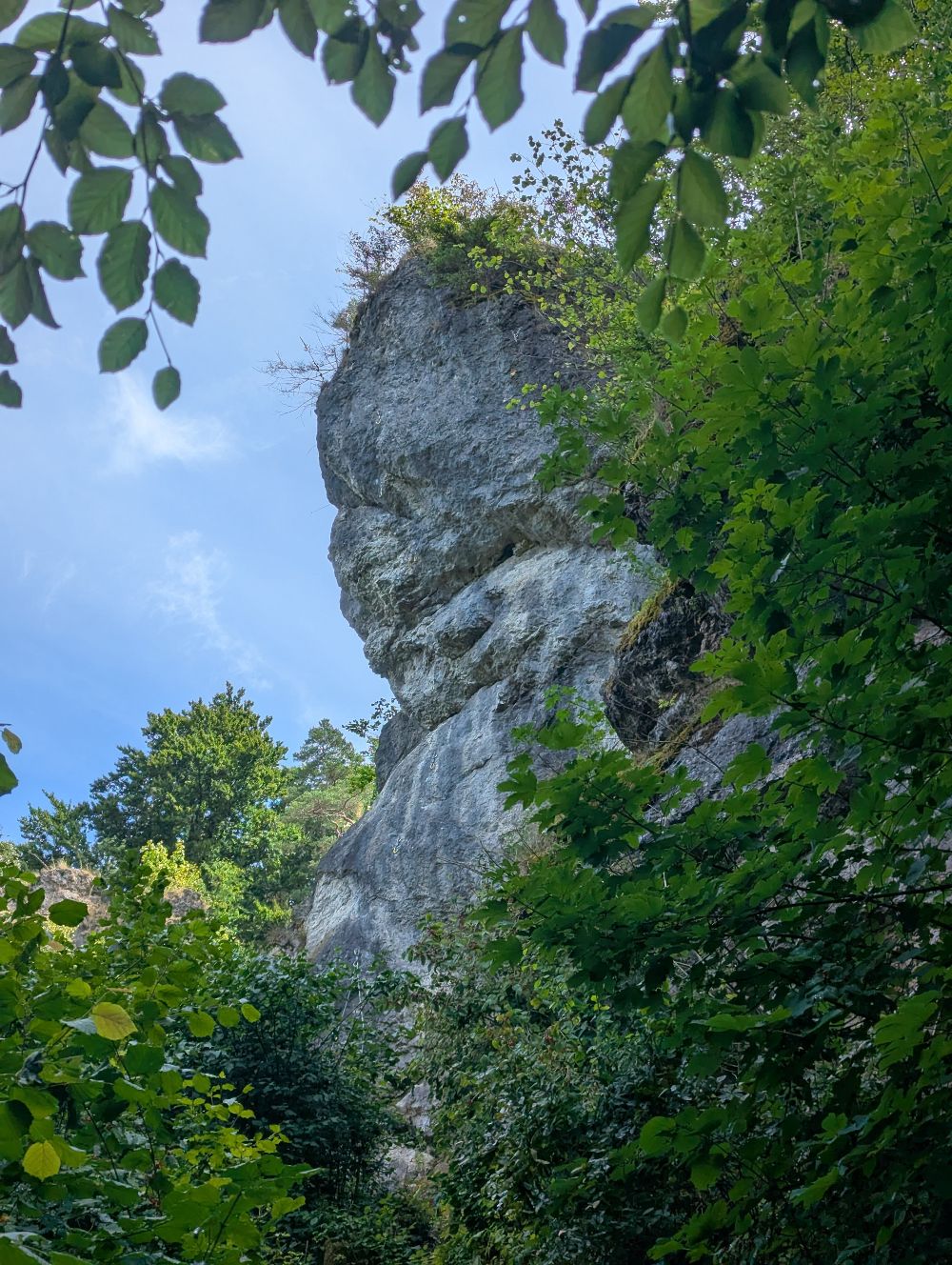 Bild des Felsens