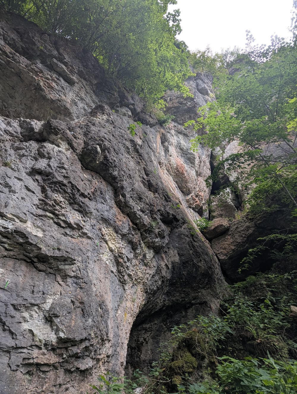 Bild des Felsens