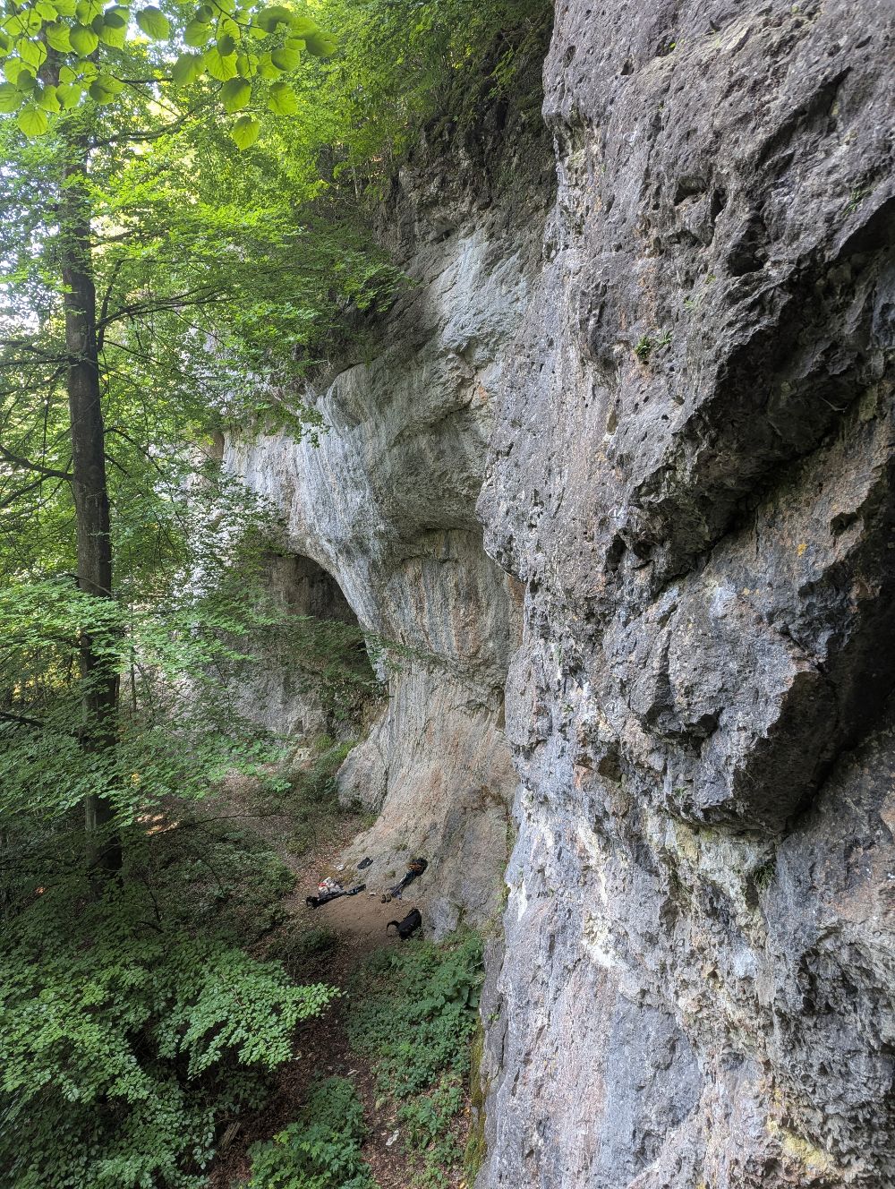 Bild des Felsens