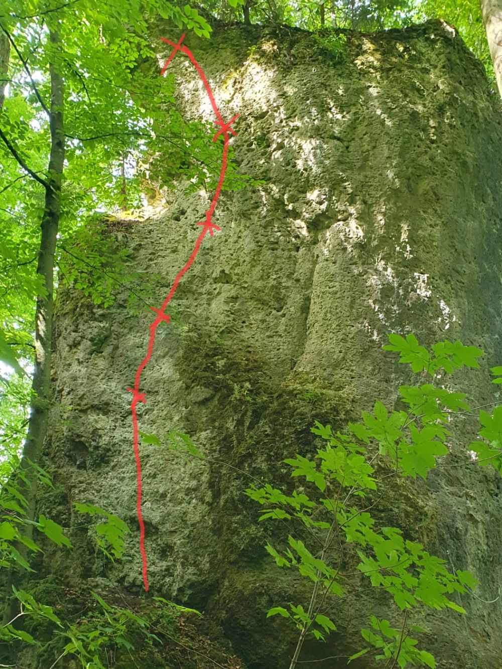 Bild des Felsens