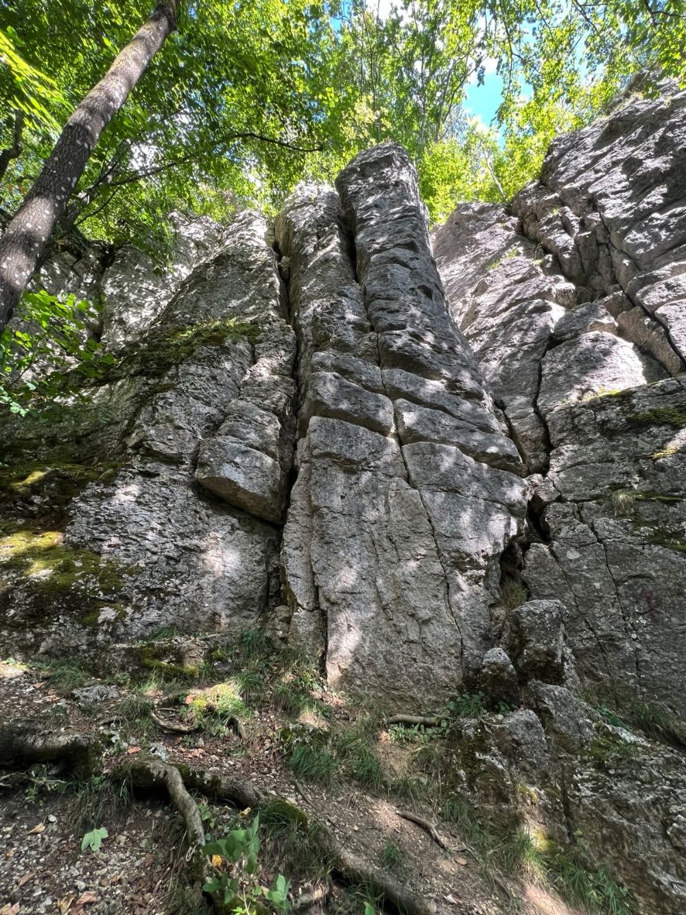 Bild des Felsens