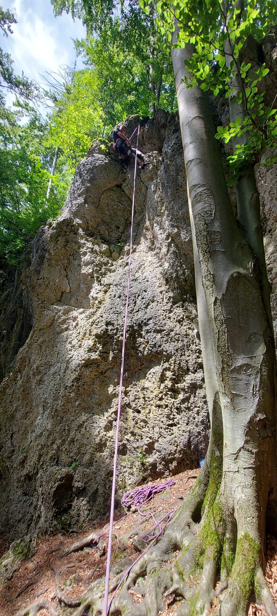Bild des Felsens