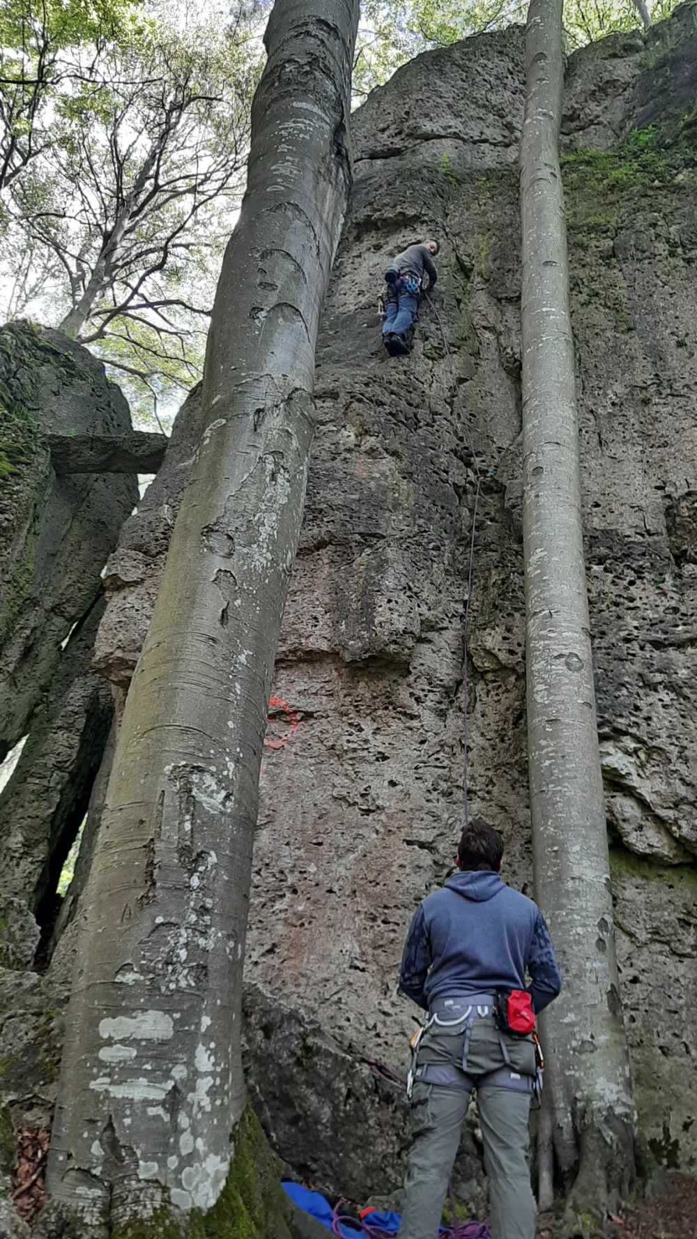 Bild des Felsens