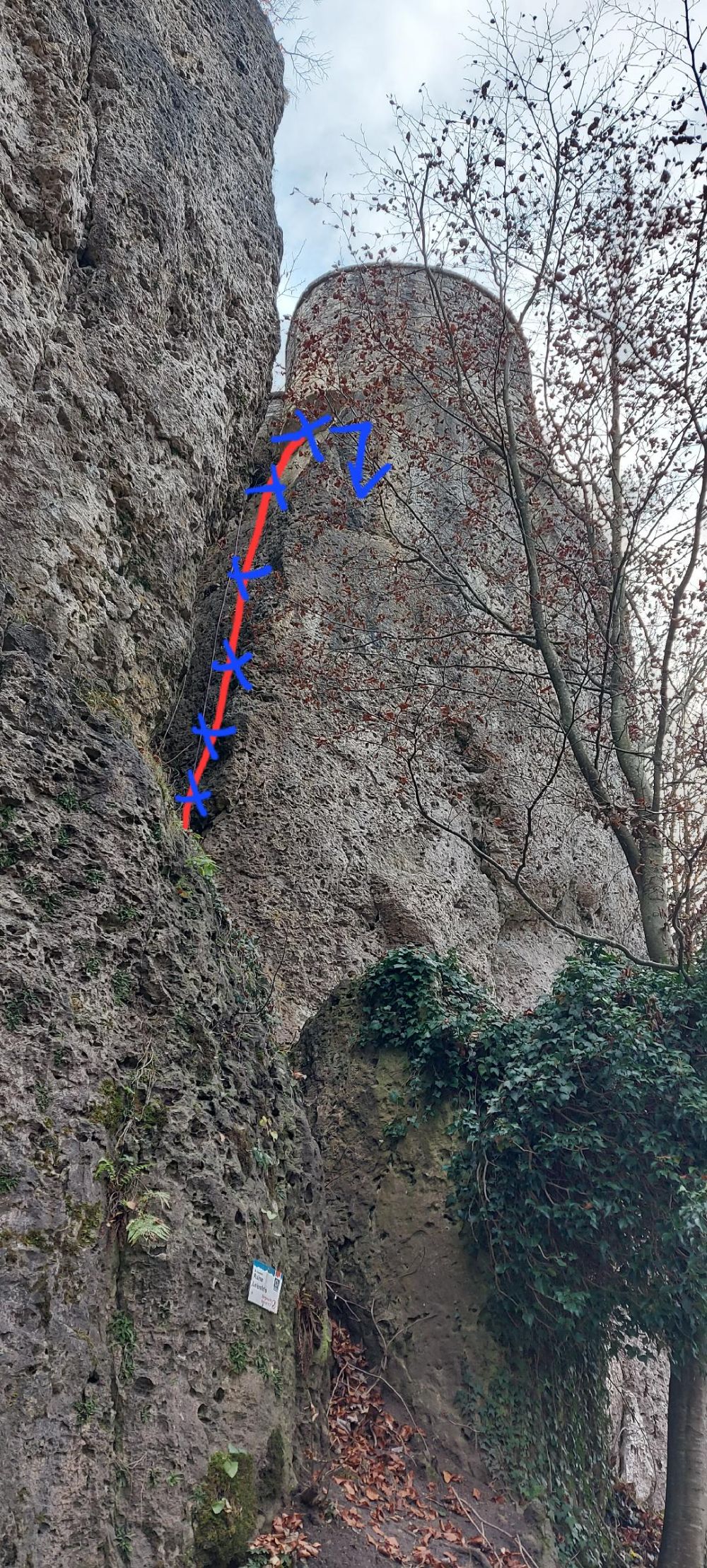A Gschrei an der Kant´n!