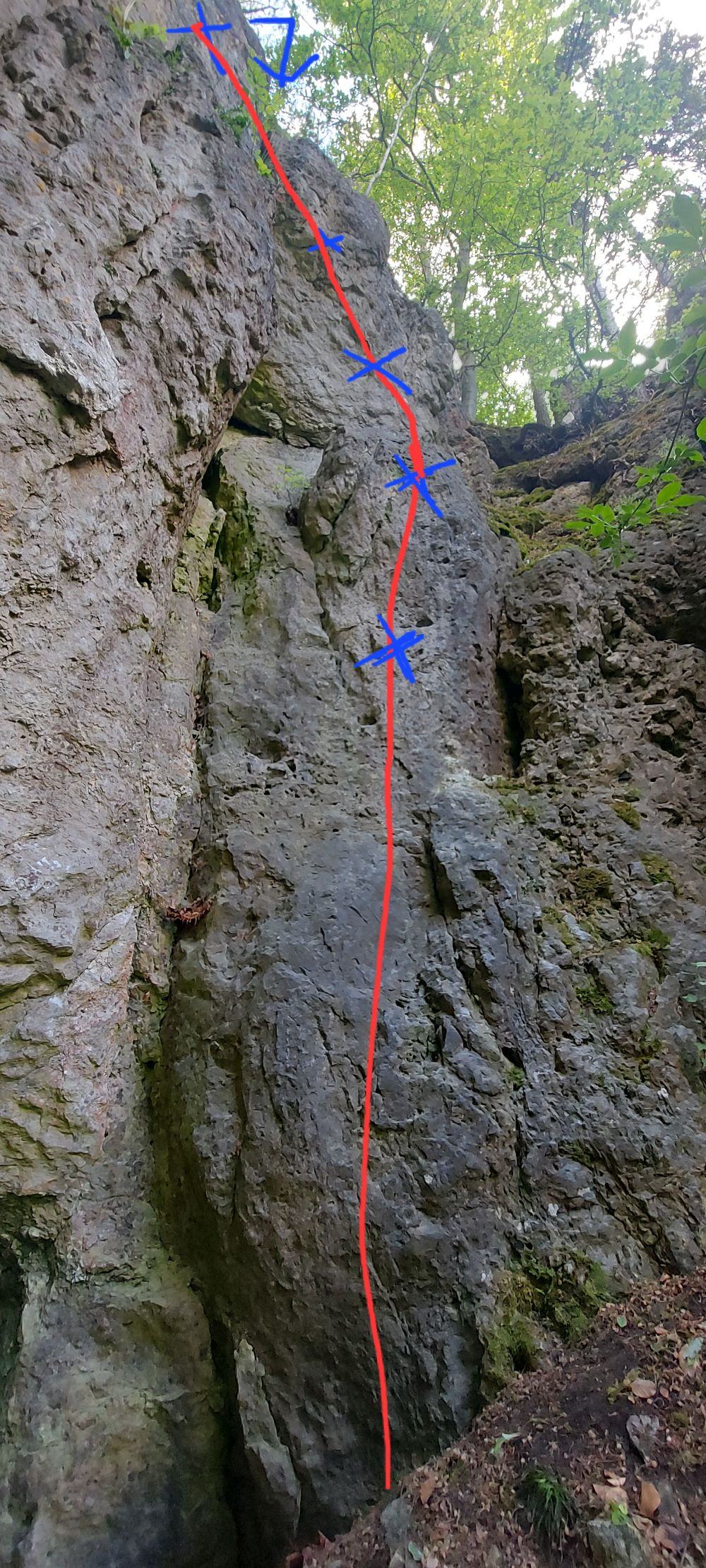 Bild des Felsens