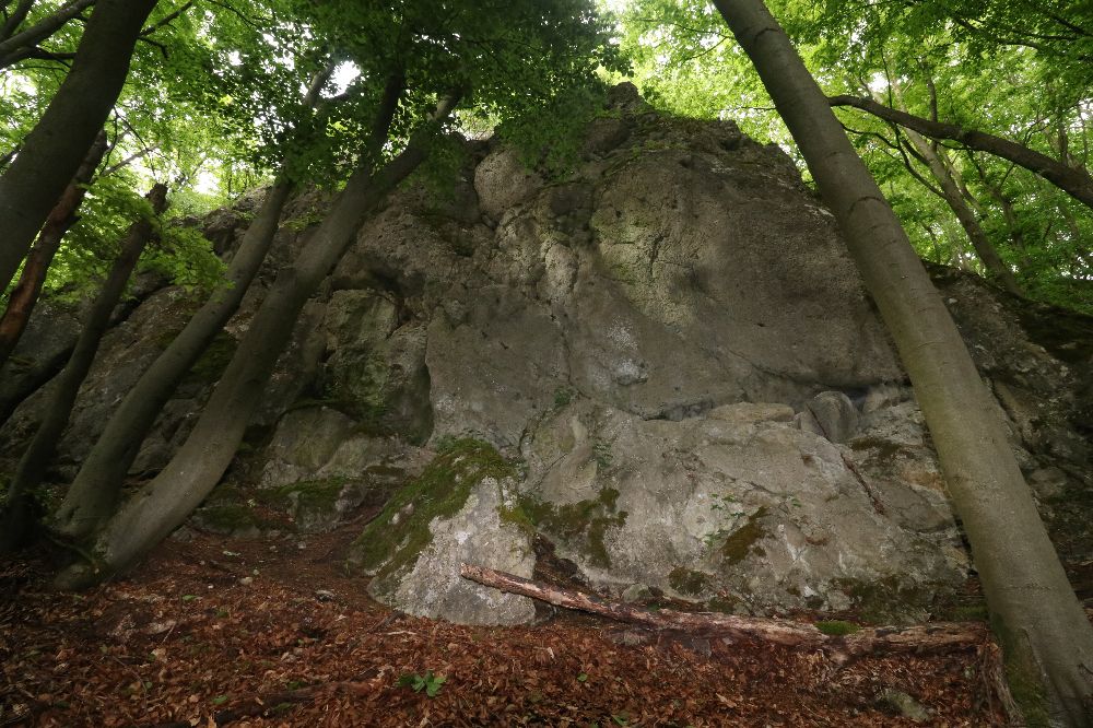 Bild des Felsens
