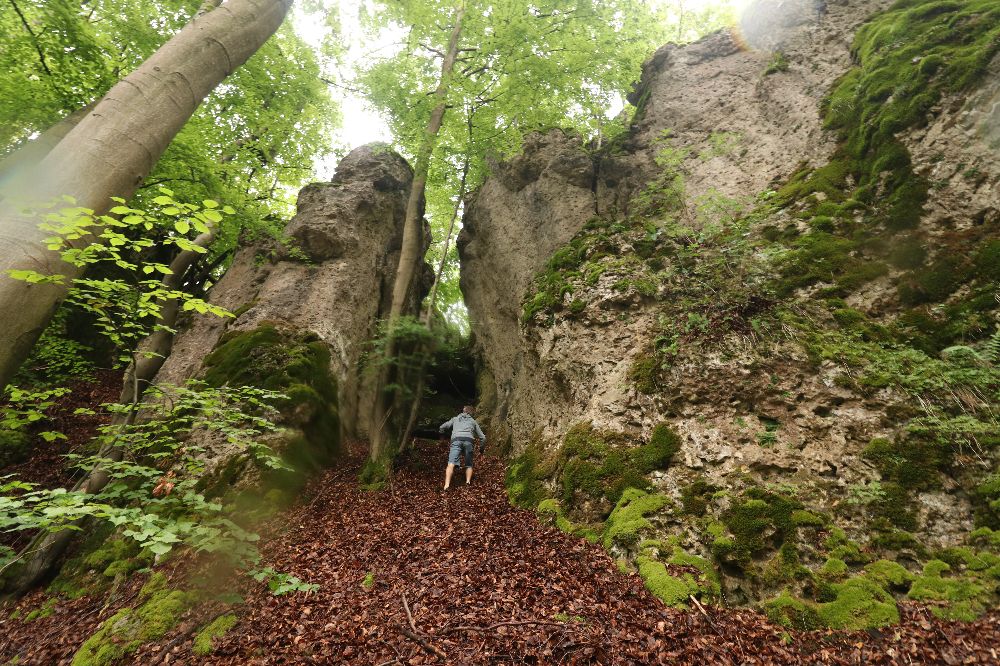 Bild des Felsens