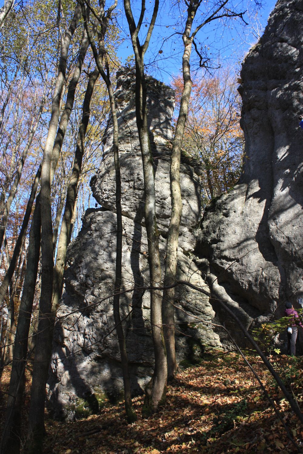 Bamberger Turm