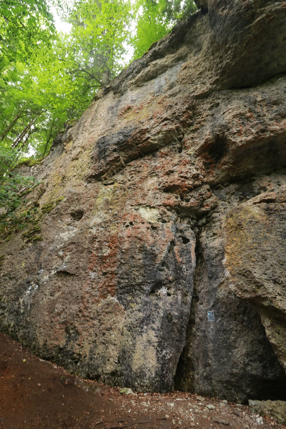 Bild des Felsens