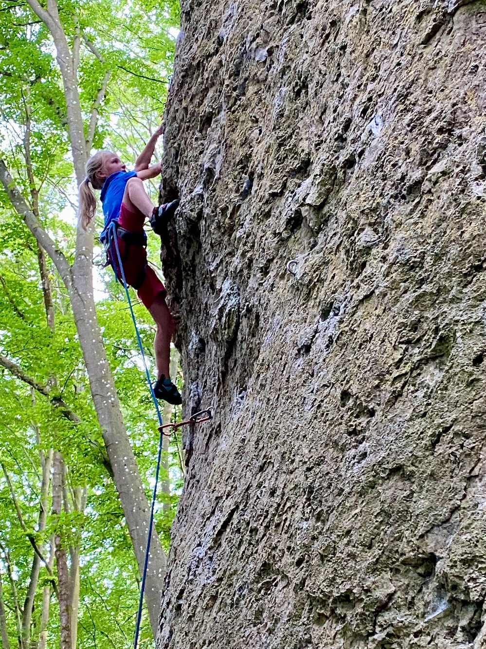 Bild Felsbilder aus dem nördlichen Frankenjura