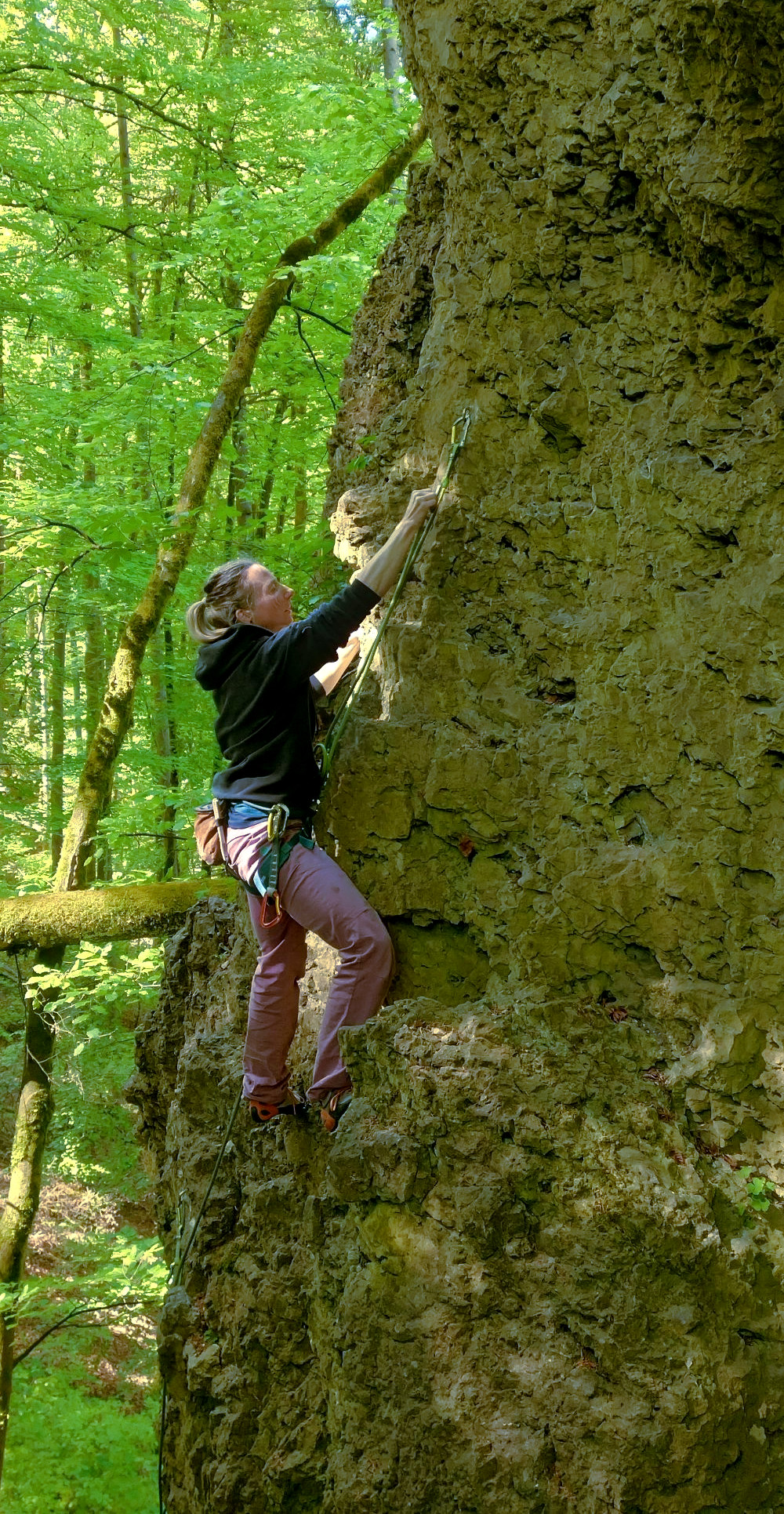 Bild des Felsens