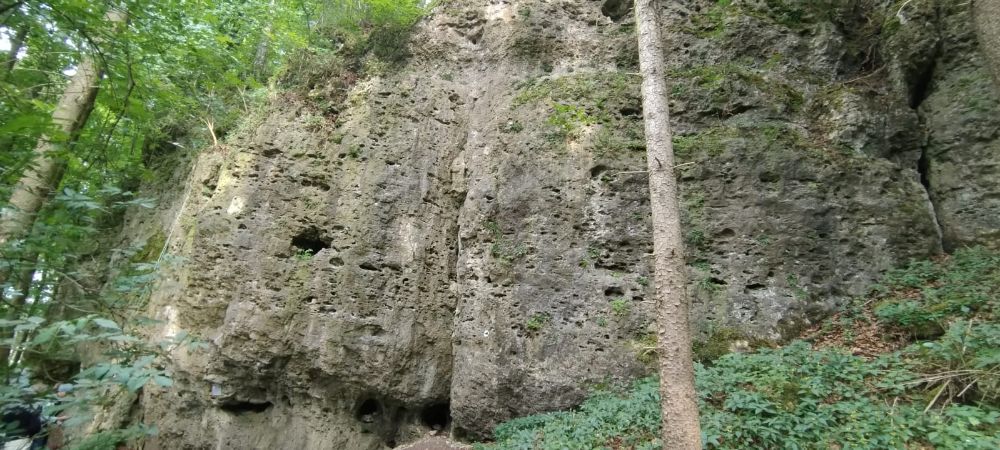 Bild des Felsens