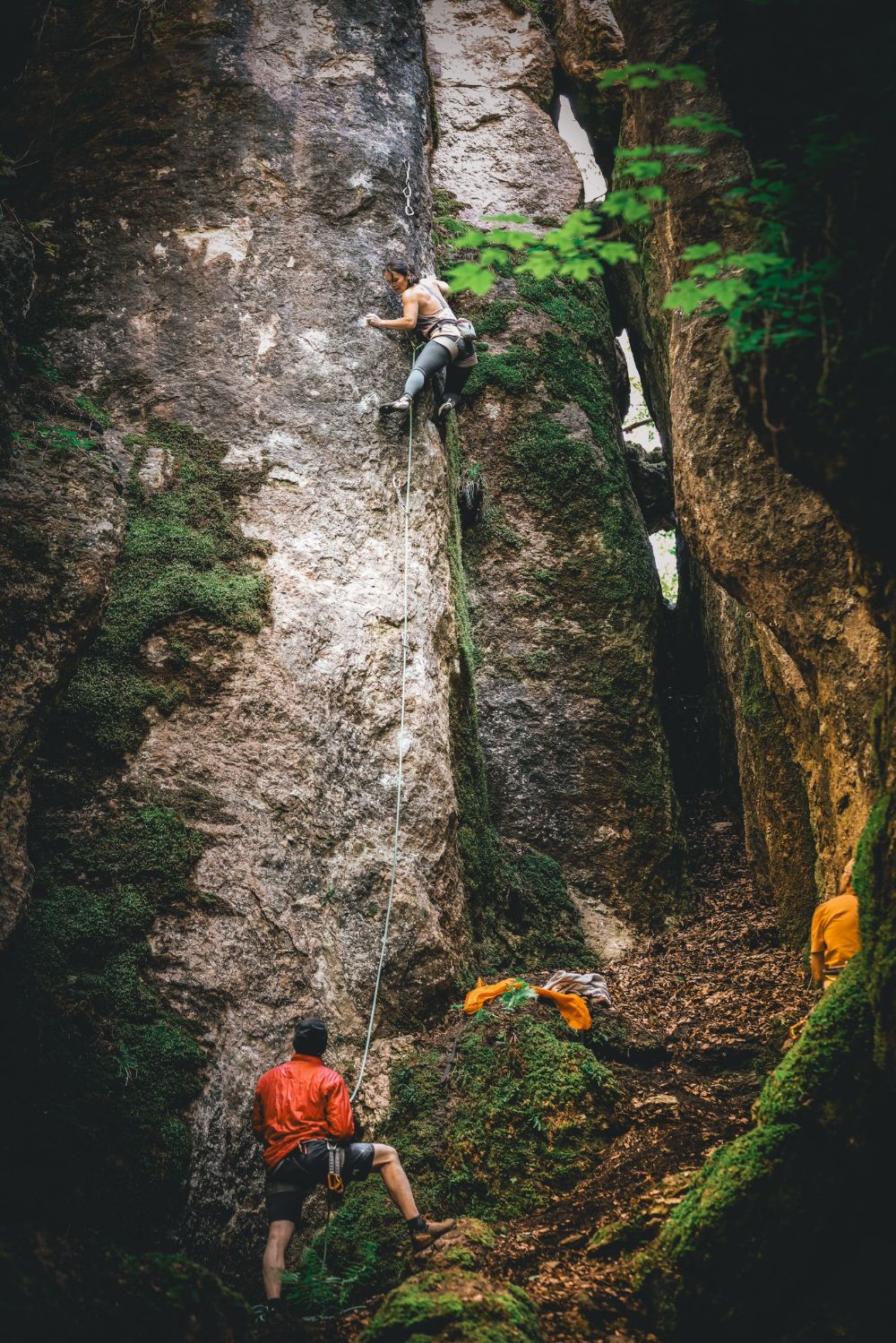 Bild des Felsens