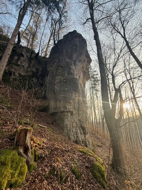 Dohlenwand in der Nachmittagssonne - linker Teil