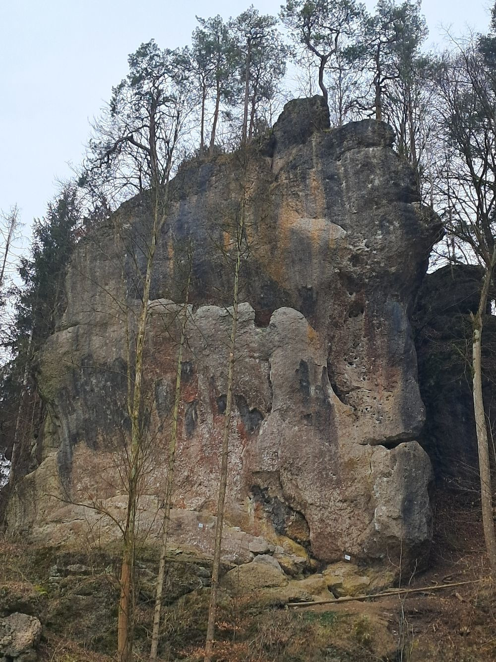 Bild Felsbilder aus dem nördlichen Frankenjura