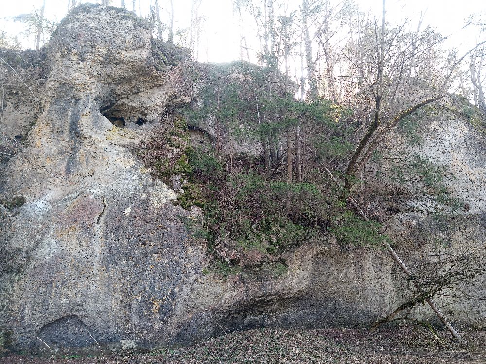 Bild des Felsens