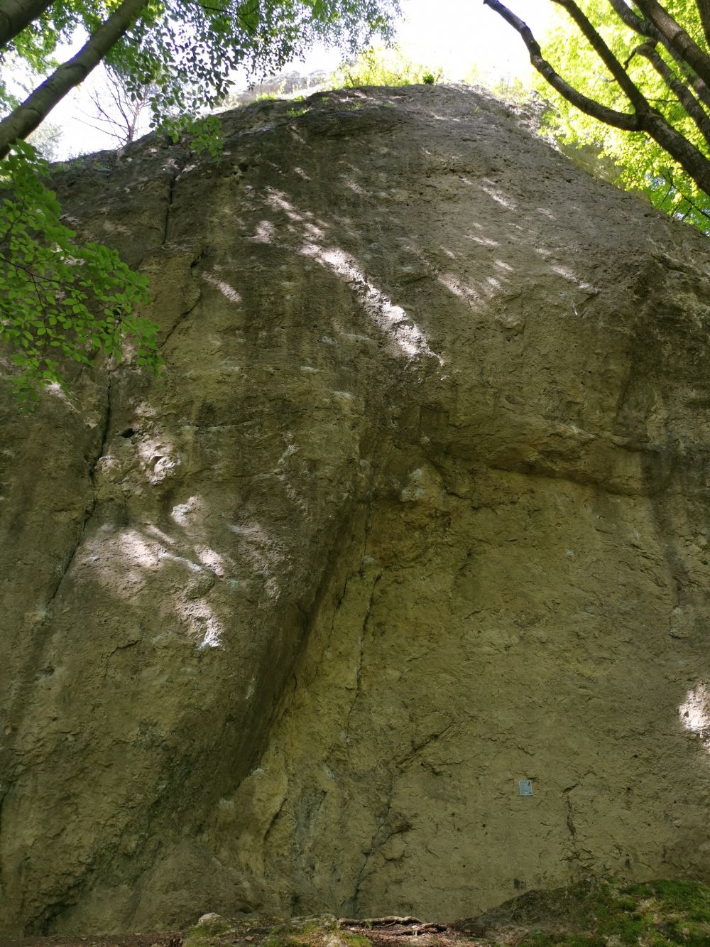 Bild des Felsens