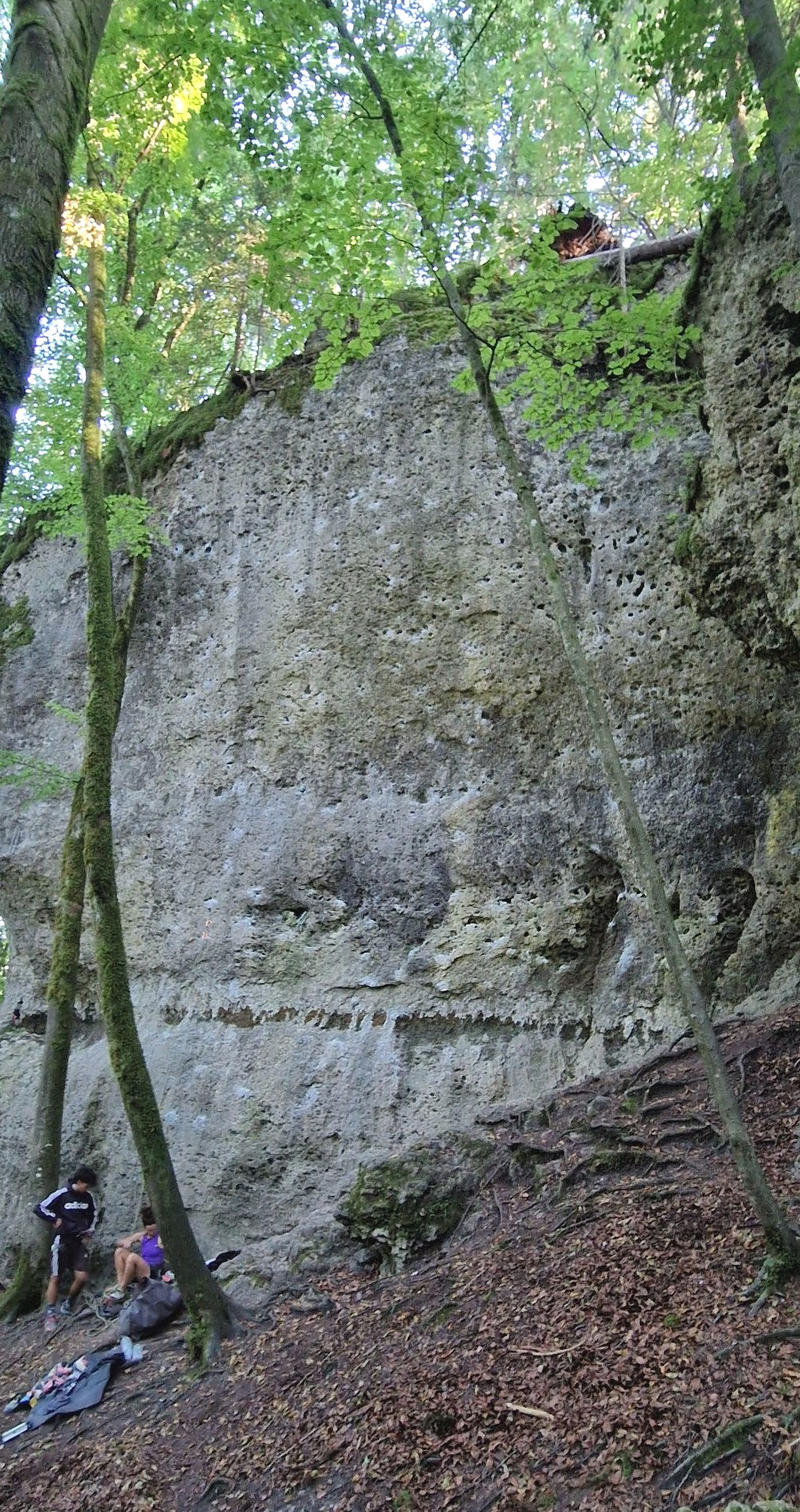 Bild des Felsens