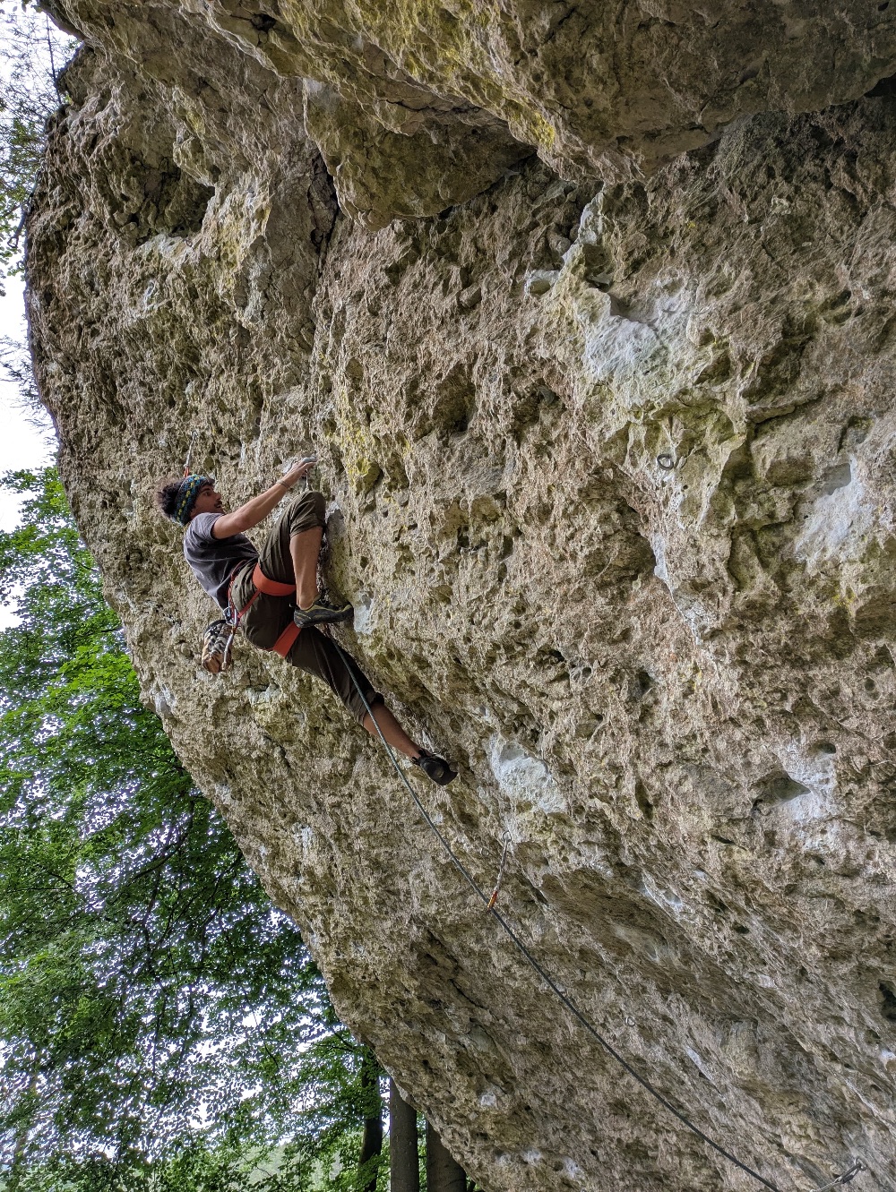 Cumbawamba!