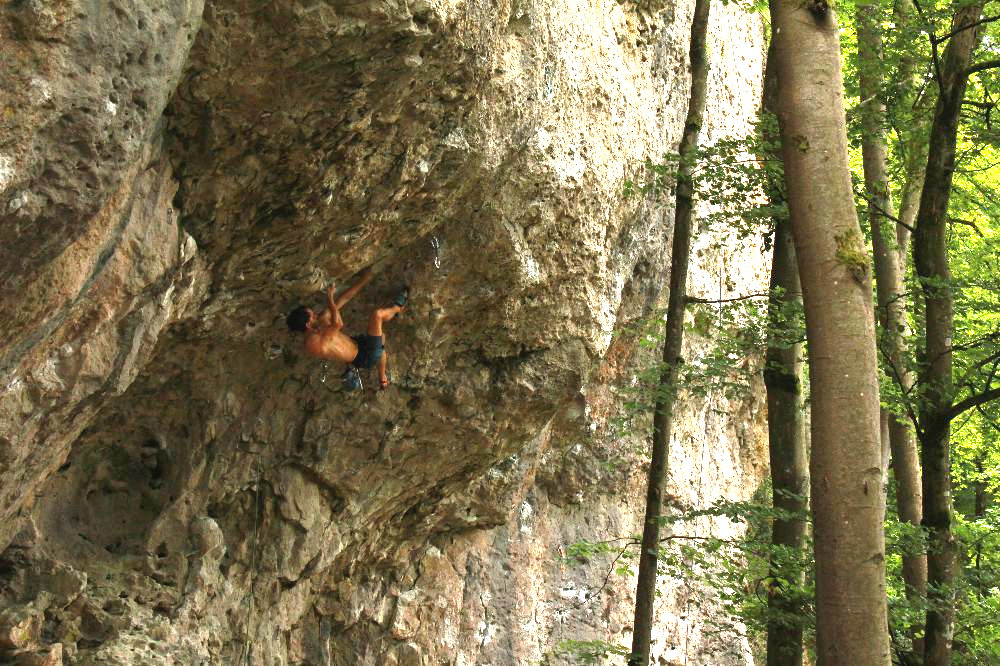 Bild des Felsens