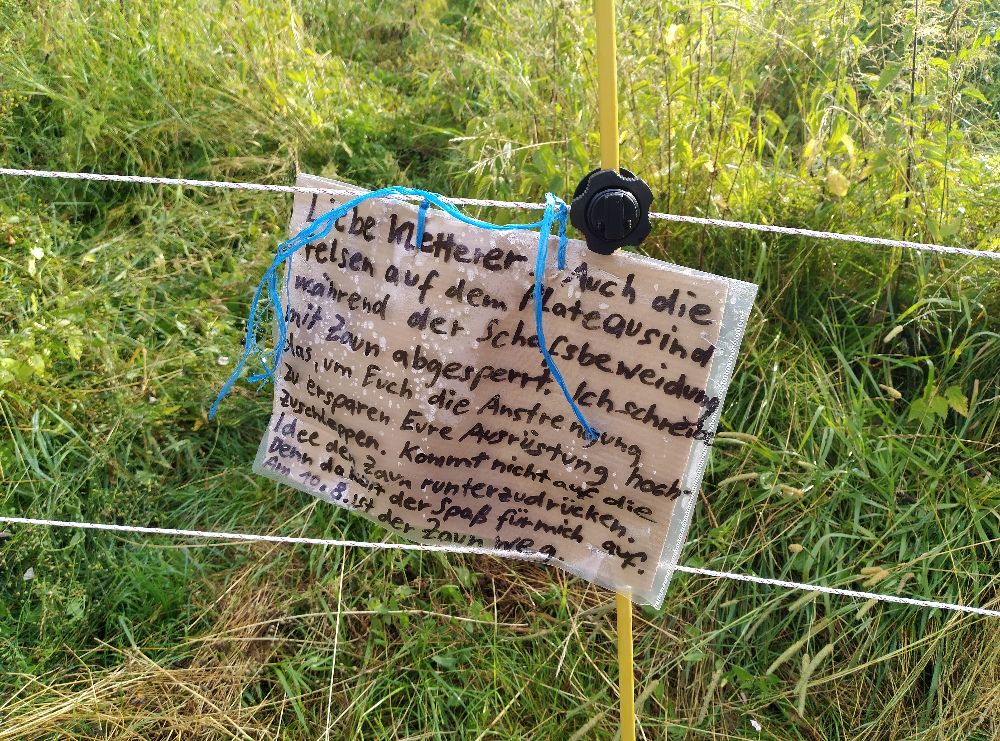 Hainbronner Pfeiler und Wachbergfelsen: Zugang wegen Beweidung vorübergehend gesperrt