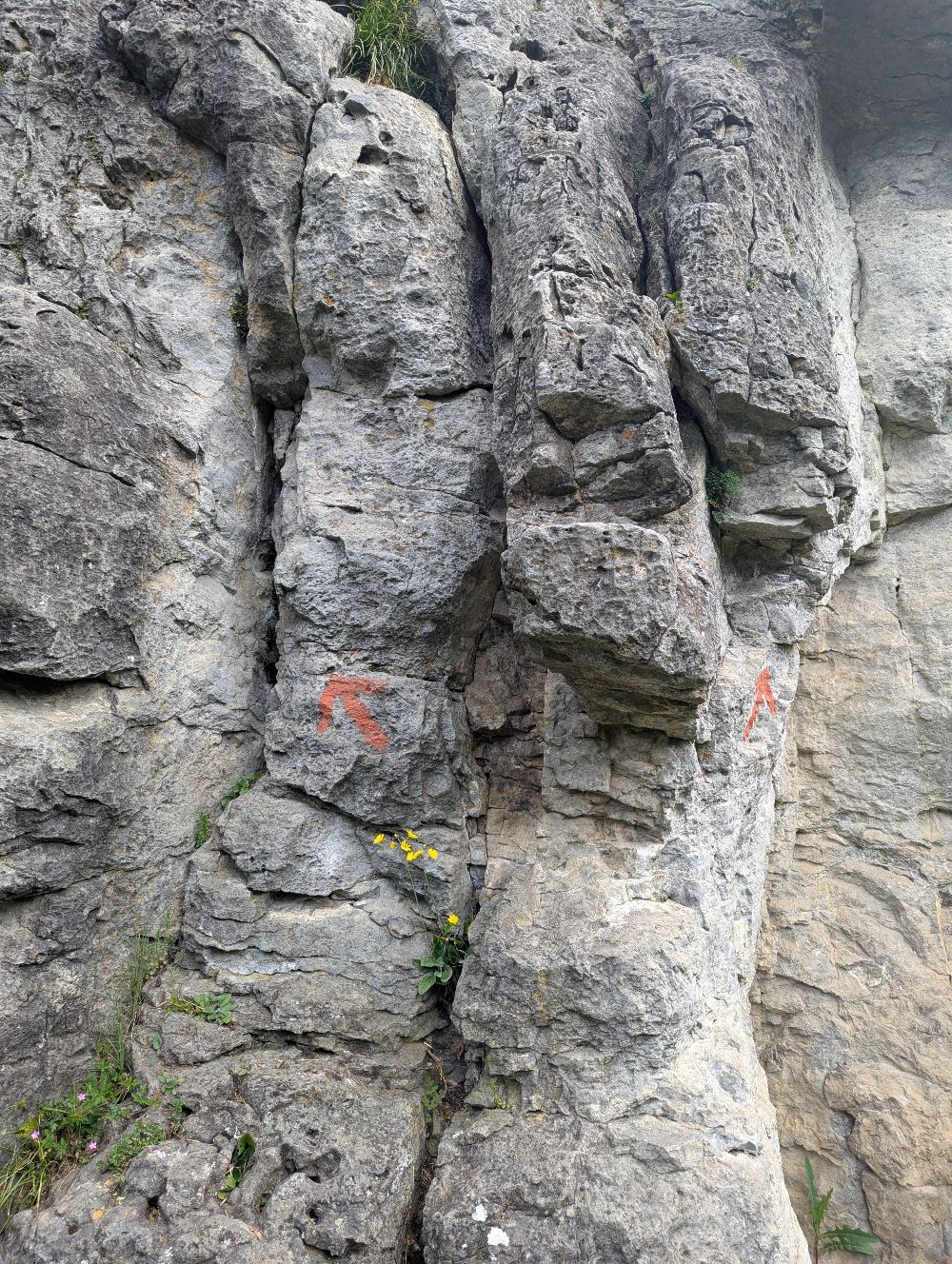 Kemitzenstein: Vogelbrut zwischen Riss und neue Wand