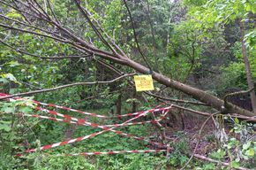 Sturmschäden am Habichtfels