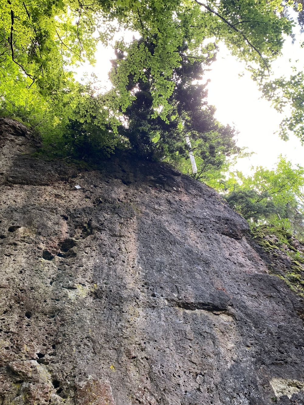 Sturmschäden und Gefahr an der Fer-May-Wand in den Katzenlöchern