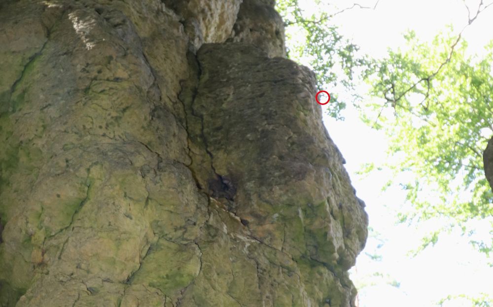 Der erste Haken im Sonneneck am Türkenfels in einem großen, abgesetzten Block