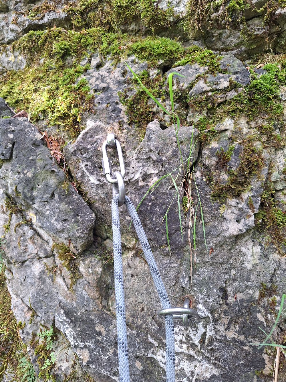 Spieser Wand: Sauschwanz in Father and Son durch Ring ersetzt