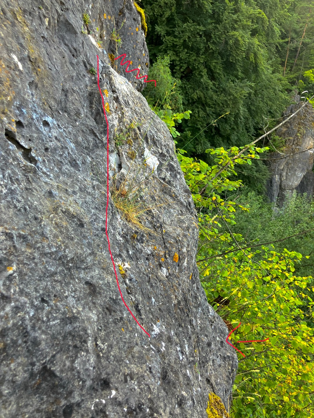 Plecher Wand: Lockere Schuppe in Ü60 - Was bleibt?