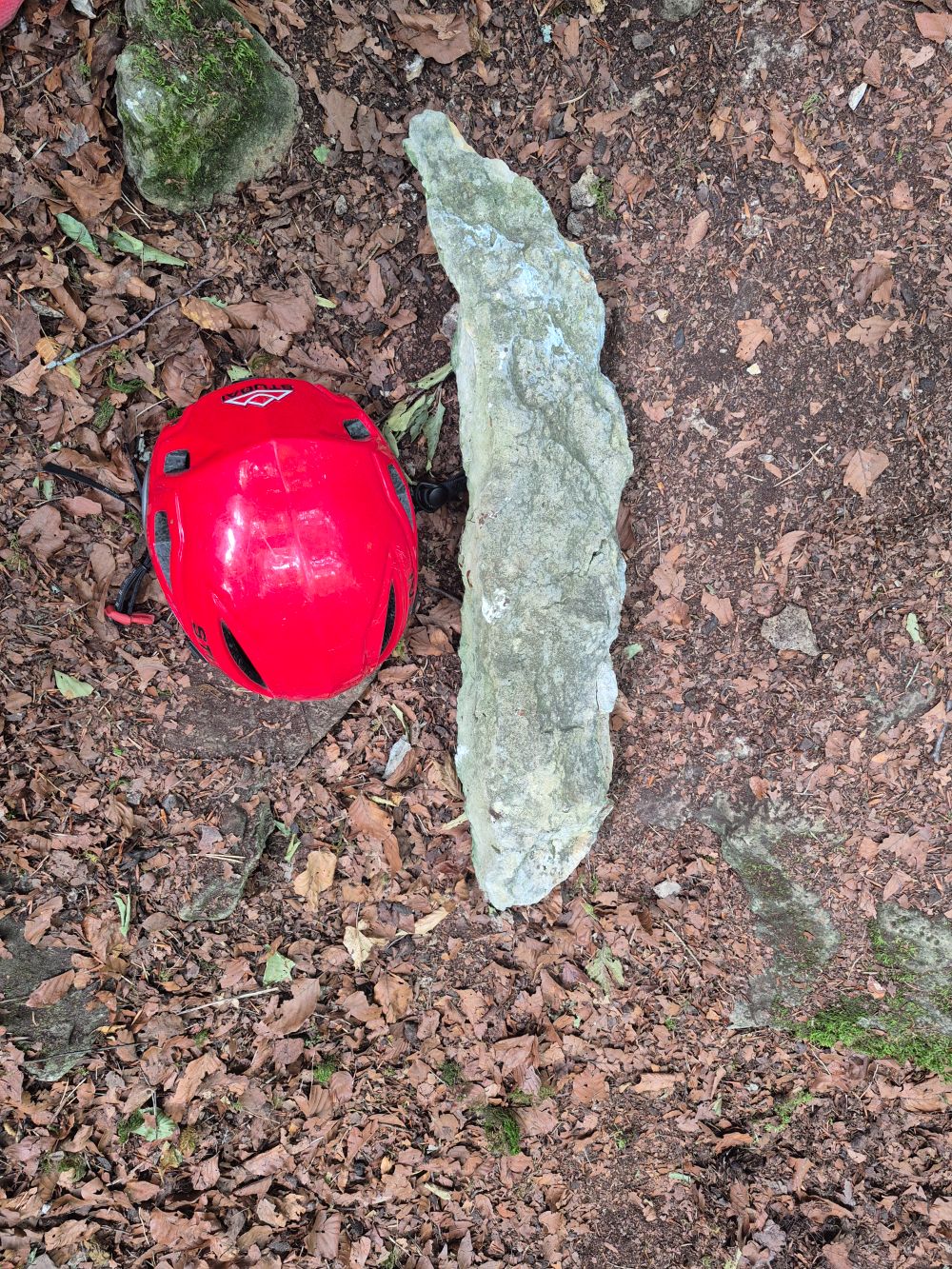 Hagfels:Griffausbruch in ´Alles im Lot´