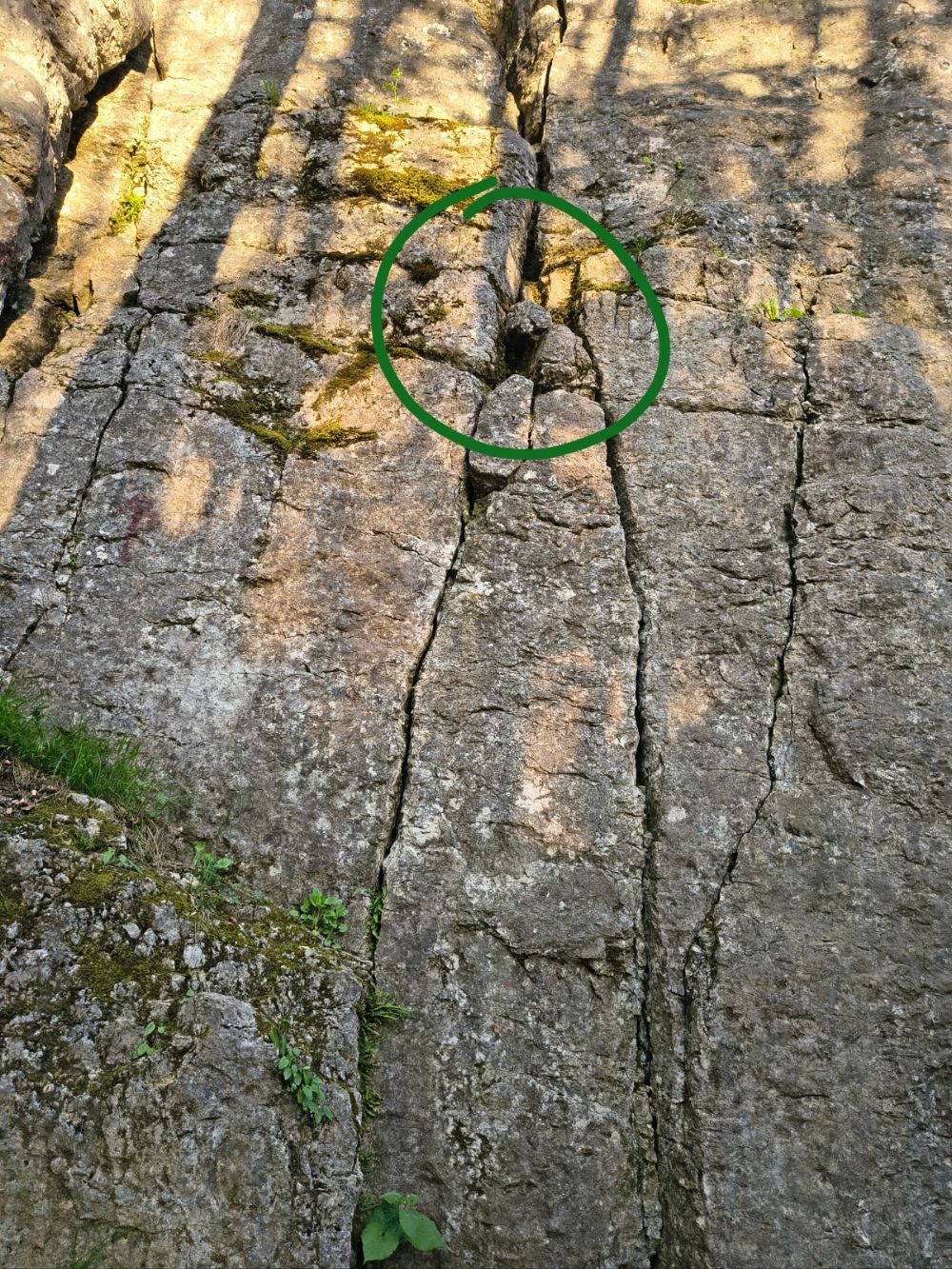 Fiechtlwand: Küken in Würgauer Winkel