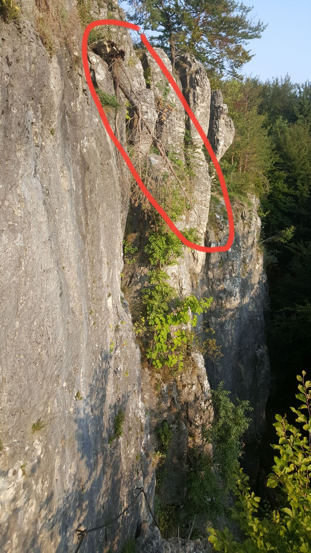 Loser Baum hängt über Klettersteig