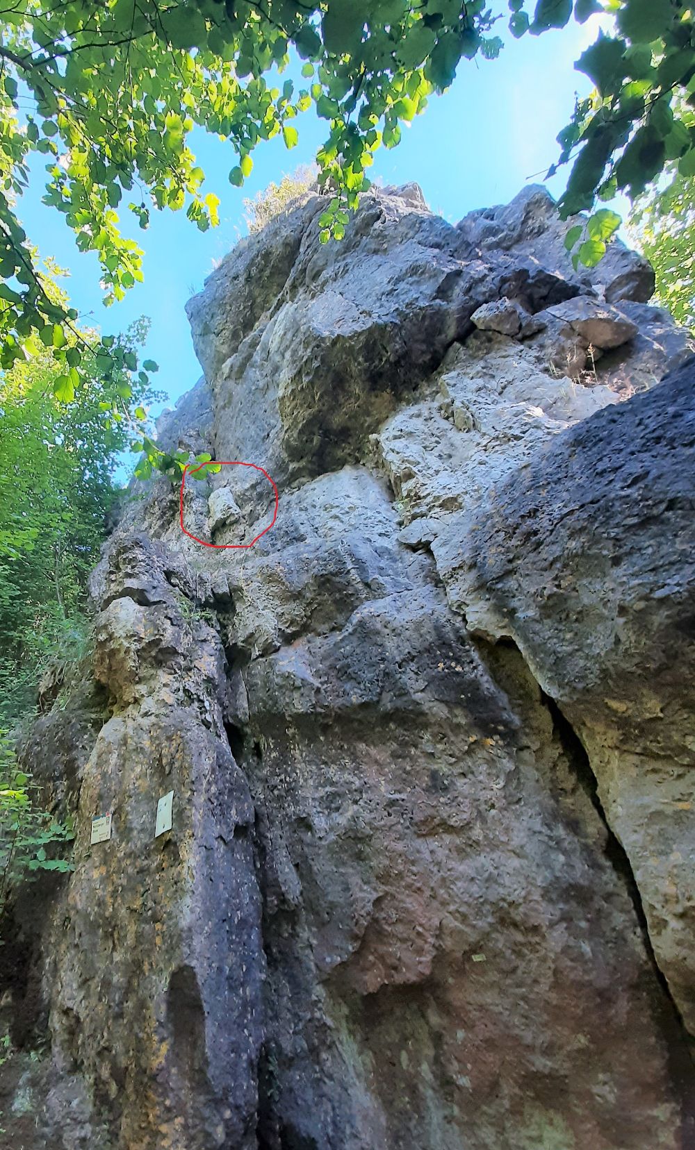 Der fragwürdige Block im Fuchsensteinerweg am Wolfsberger Block