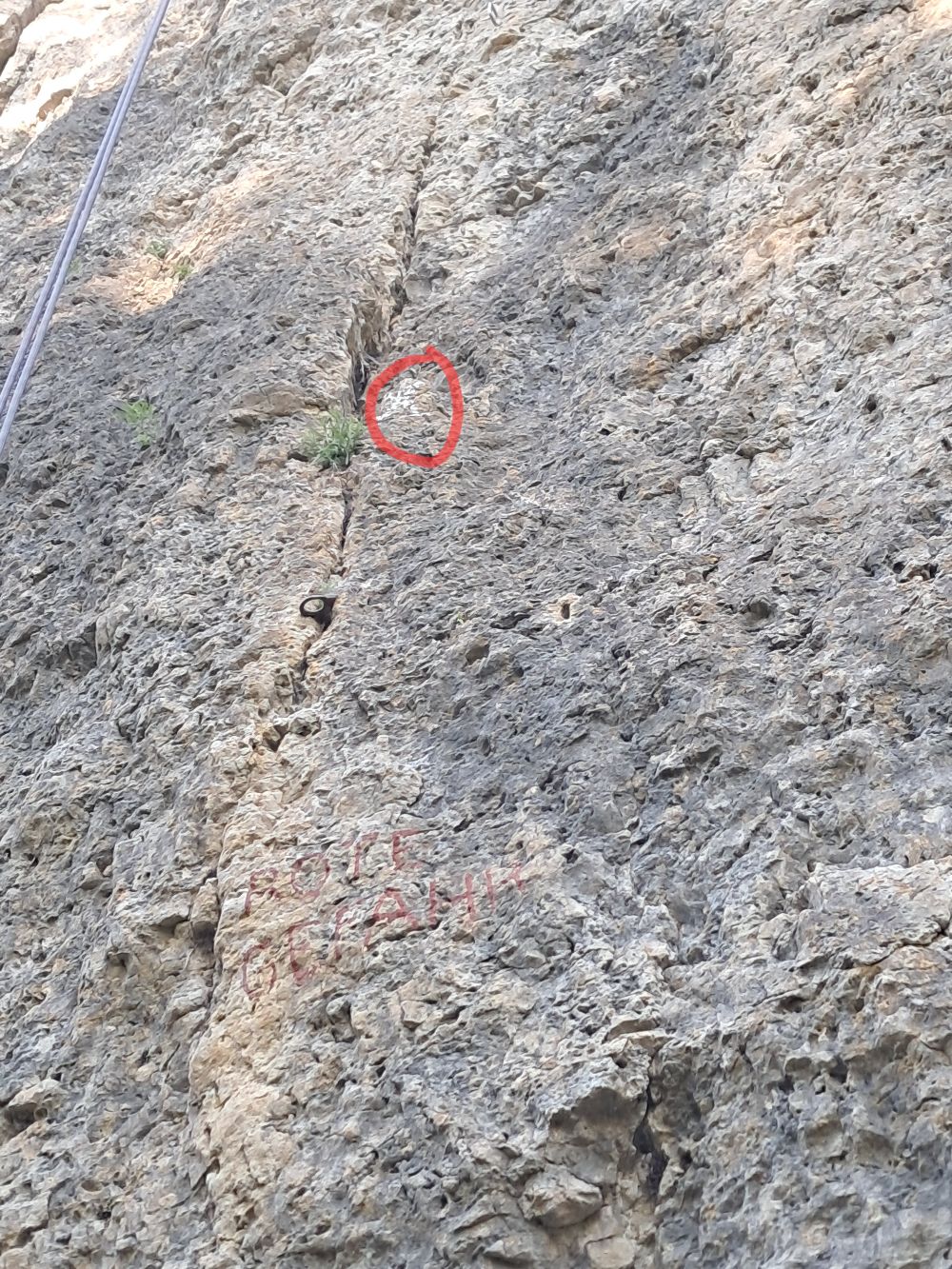 Leykauf Gedenkwand: Köpfel in Roter Gefahr nicht mehr fest.