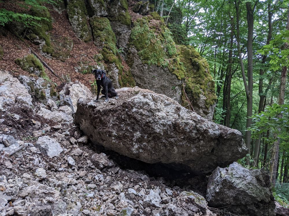 Mitsamt Umlenkhaken ausgebrochener Gipfelblock an der Bodenbergwand (Bild: ejunge)