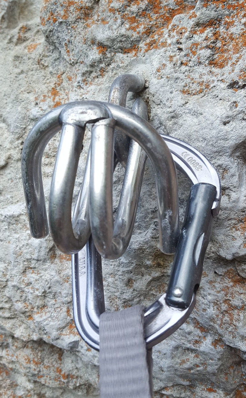 Der eingerissene Sauschwanz (Bild: Andi H.)