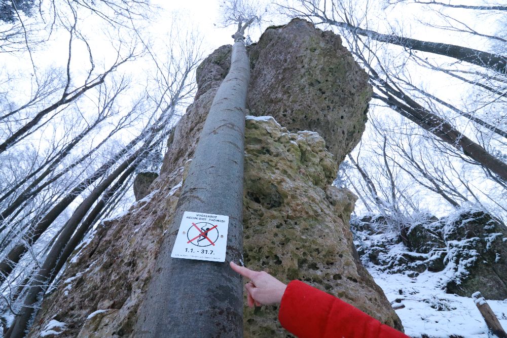 In diesem Winter erstmalig gesperrt: Die Nordostseite der Graischer Bleisteinwände