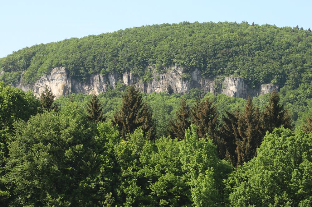 Auch am Röthelfels darf wieder in allen Sektoren geklettert werden