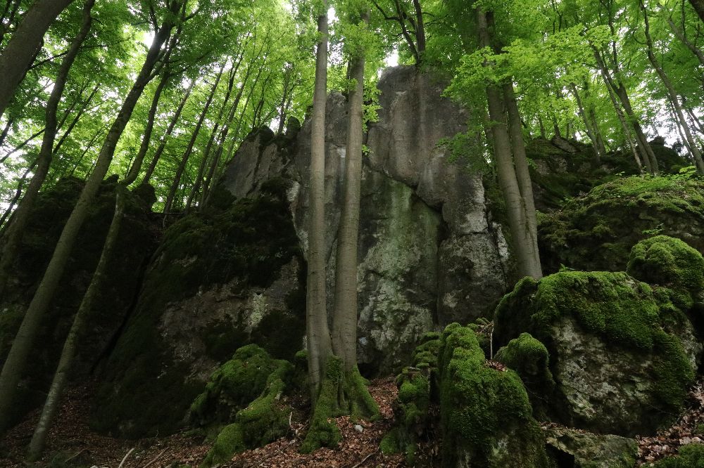 Die Heidelberg Nordwand