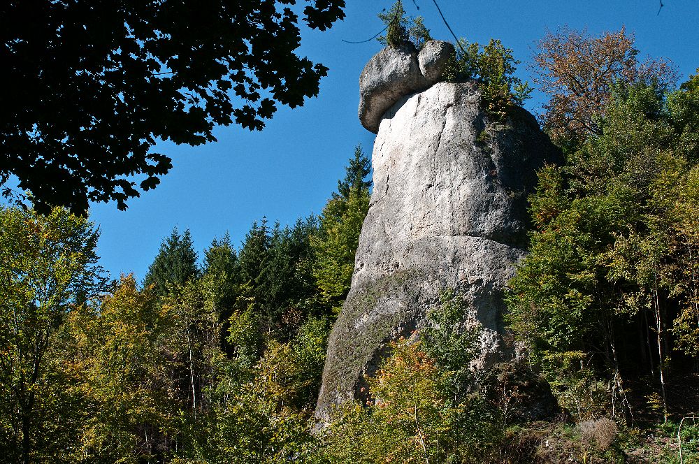 Der Rabenfels nach einer Felsfreistellung (Bild: Walter Wärthl)