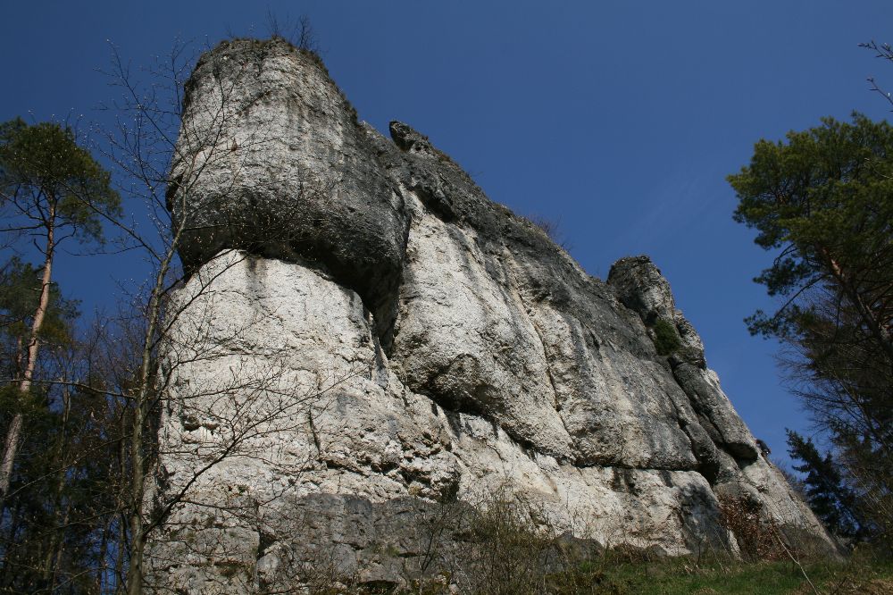 Die Mittelbergwand im Hirschbachtal