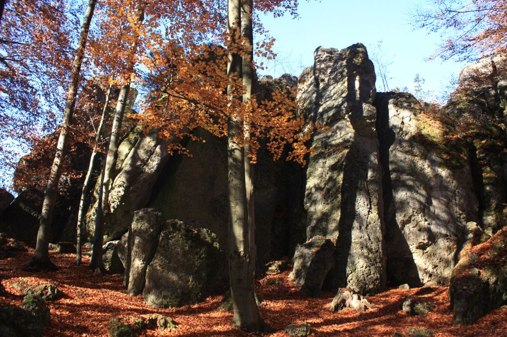 Der schattige Teil des Wolfsteins bei Bärnfels. Die Unfallroute befindet sich an dieser Wandflucht ganz links.